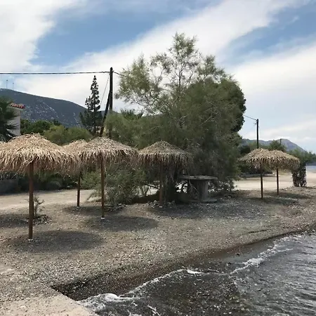 Seaside Paralia Kallonis